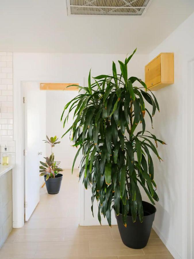 The Zen - Outdoor Shower, Gas Fireplace, Walkable To Shops & Restaurants Joshua Tree Luaran gambar